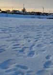 20230119_110226 (Large).jpg (402797 bytes)